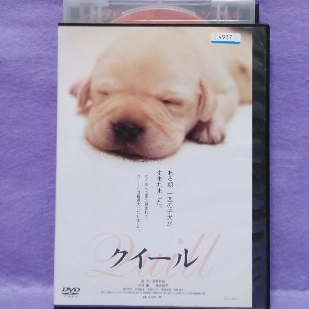 日本映画DVD　【子ぎつねヘレン　他２本】 エンタメ/ホビーのDVD/ブルーレイ(日本映画)の商品写真