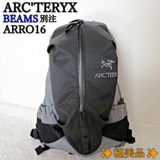 アークテリクス(ARC'TERYX)の✨極美品✨ARC'TERYX 「BEAMS別注」 ARRO16 リュック(バッグパック/リュック)