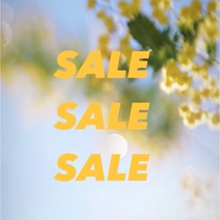 サンタモニカ(Santa Monica)のsale!!!!!!(その他)