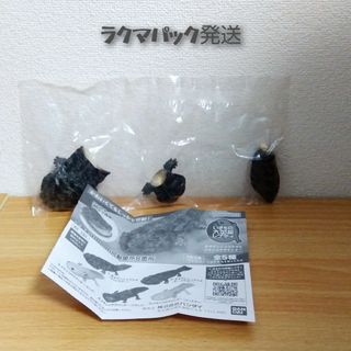 バンダイ(BANDAI)のいきもの大図鑑 オオサンショウウオとメキシコサラマンダー　ガチャ　フィギュア(その他)