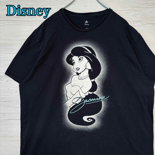 ディズニー(Disney)の【入手困難】Disney アラジン　ジャスミン　Tシャツ　2XLサイズ　一点物(Tシャツ/カットソー(半袖/袖なし))
