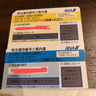 エーエヌエー(ゼンニッポンクウユ)(ANA(全日本空輸))のANA 全日空　株主優待(航空券)