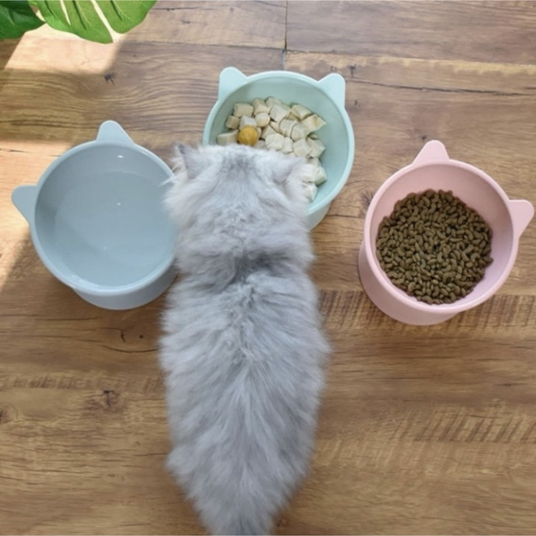 フードボウル  ペット用品 エサ入れ 猫  犬 エサ ペット用食器 ペット 食器 その他のペット用品(猫)の商品写真