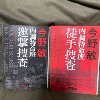 内調特命班邀撃捜査　内調特命班徒手捜査(その他)