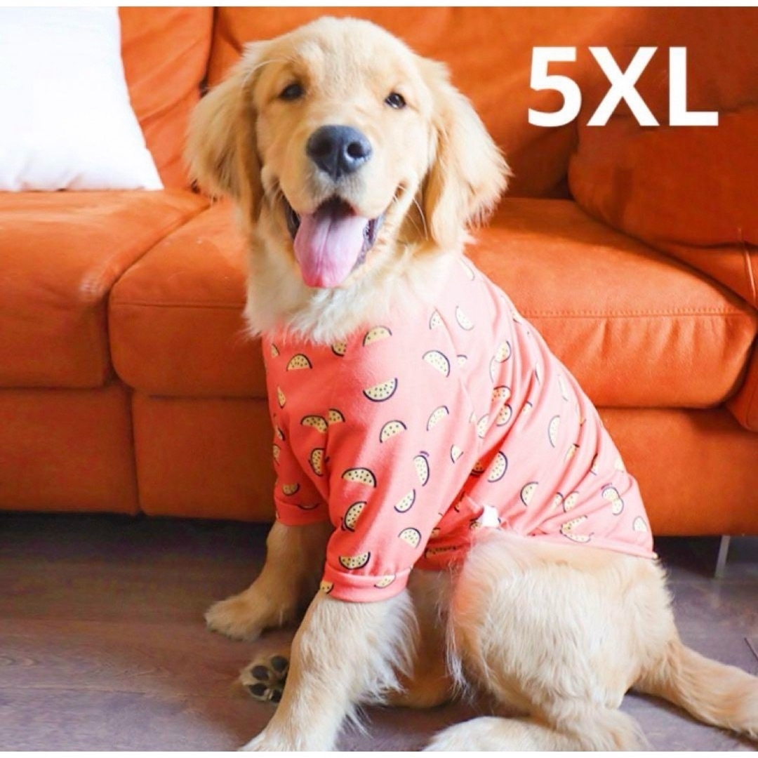 【ペット用】大型犬用  犬服 気持ち良い滑らかな フルーツ柄 シャツ 5XL その他のペット用品(犬)の商品写真