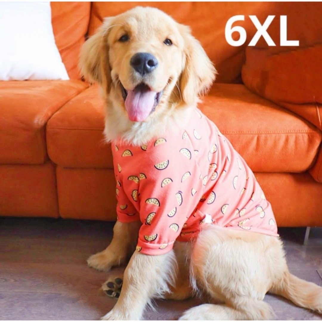 【ペット用】大型犬用  犬服 気持ち良い滑らかな フルーツ柄 シャツ 6XL その他のペット用品(犬)の商品写真