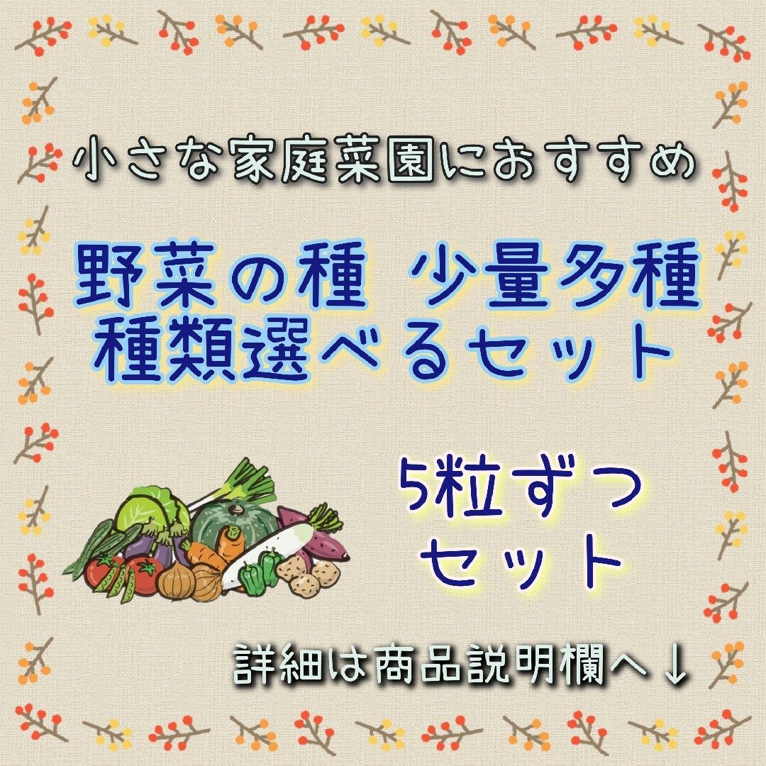 野菜の種 5粒セット パプリカ きゅうり ミニトマト 丸オクラ 家庭菜園 種子 ハンドメイドのフラワー/ガーデン(その他)の商品写真