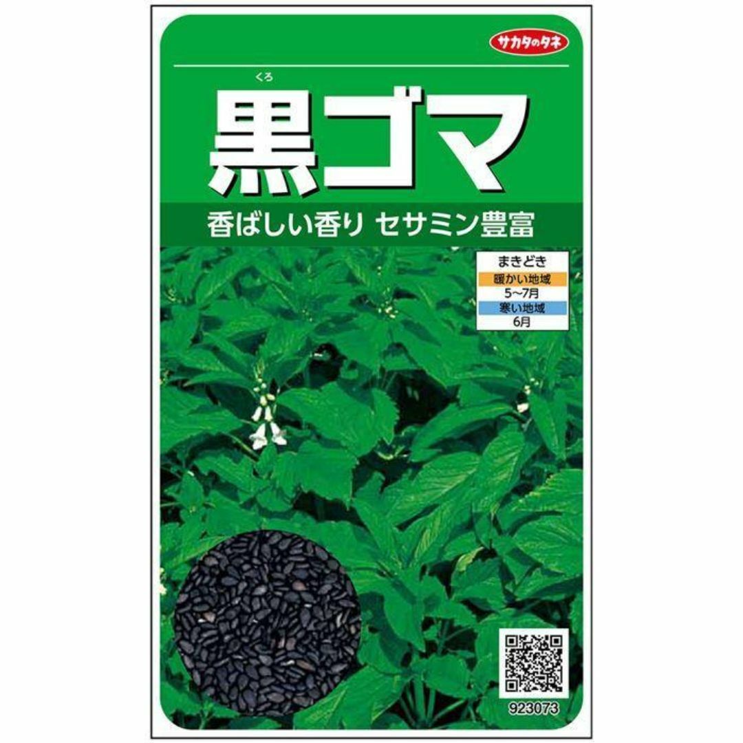 ＜野菜の種＞約2500粒　黒ゴマ　セサミン豊富　ごまのたね　胡麻 ハンドメイドのフラワー/ガーデン(プランター)の商品写真