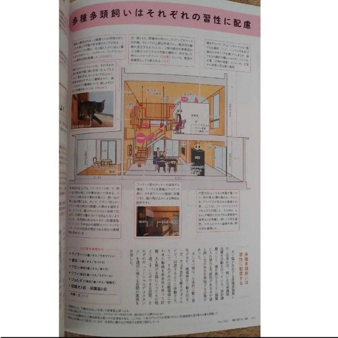 建築知識 2023年 5月号 「猫のための間取り」 エンタメ/ホビーの雑誌(専門誌)の商品写真