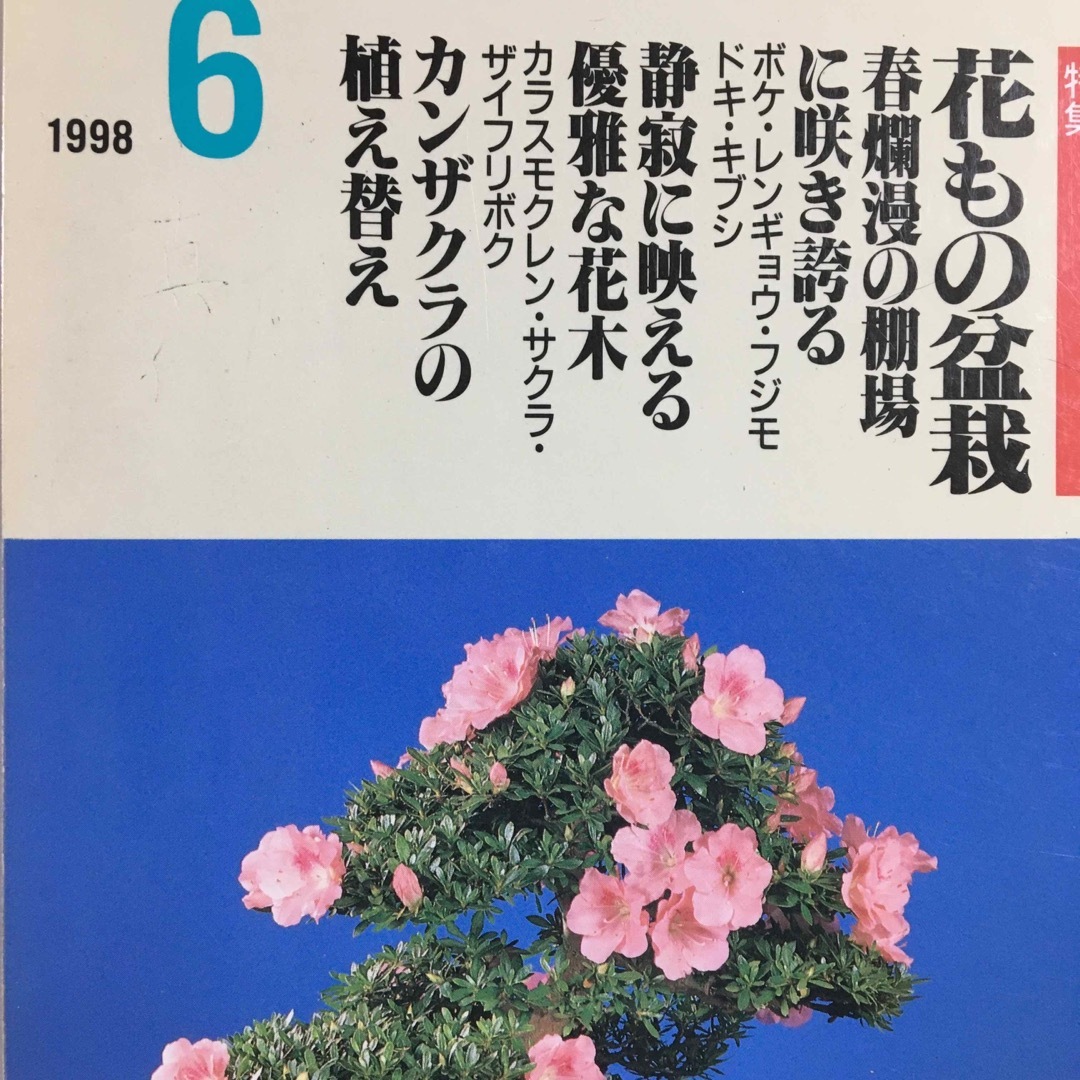 盆栽世界　1998年6月号　花もの盆栽　1998年7月号　草もの盆栽　本　雑誌 エンタメ/ホビーの雑誌(趣味/スポーツ)の商品写真