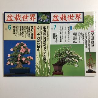 盆栽世界　1998年6月号　花もの盆栽　1998年7月号　草もの盆栽　本　雑誌(趣味/スポーツ)