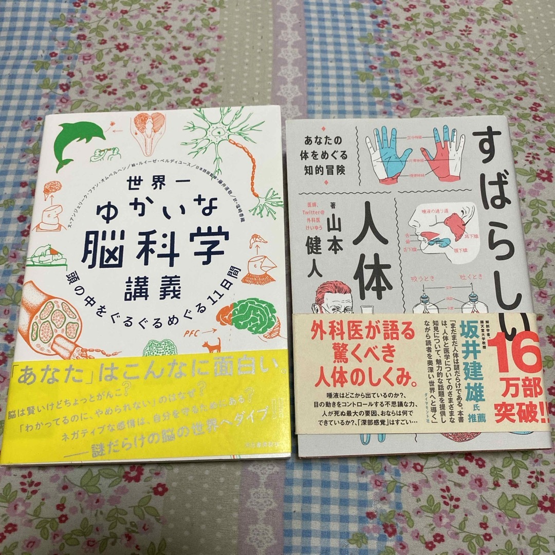 ダイヤモンド社(ダイヤモンドシャ)のすばらしい人体　世界一ゆかいな脳科学講義 エンタメ/ホビーの本(その他)の商品写真