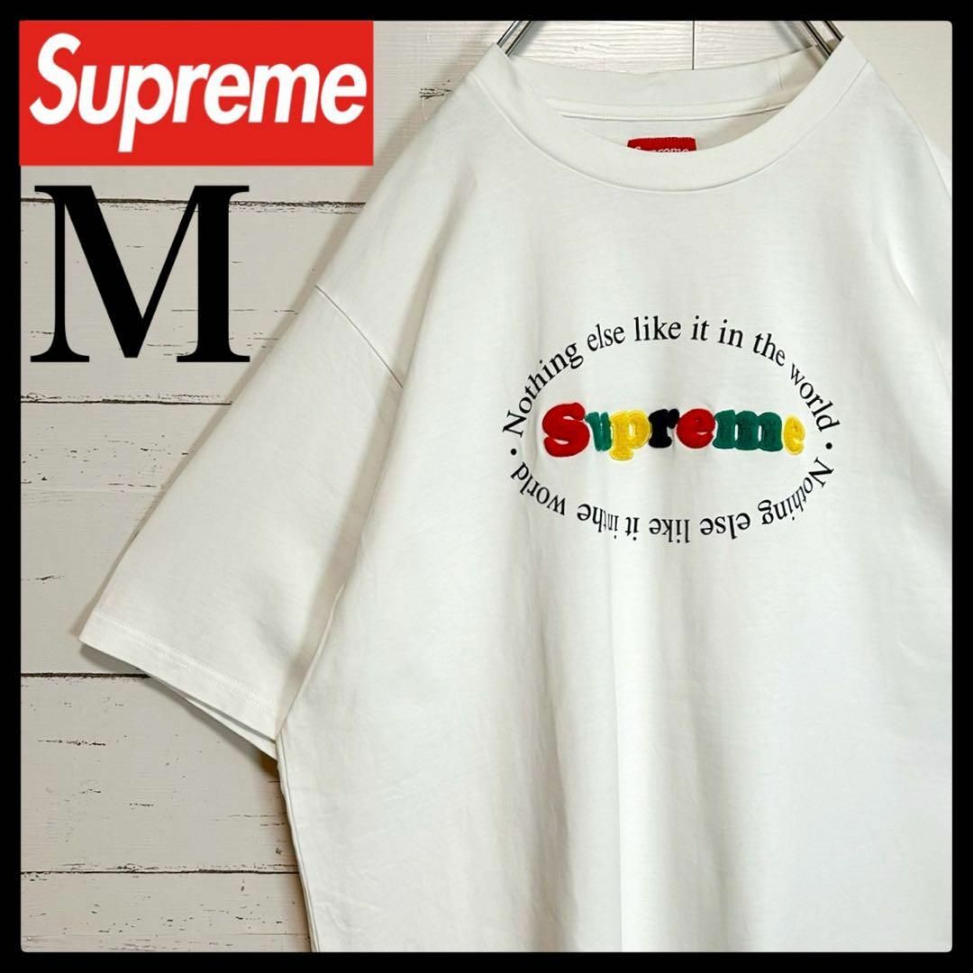 Supreme(シュプリーム)の【希少モデル】シュプリーム☆ワッペンロゴ 入手困難 センターロゴ 即完売 メンズのトップス(Tシャツ/カットソー(半袖/袖なし))の商品写真