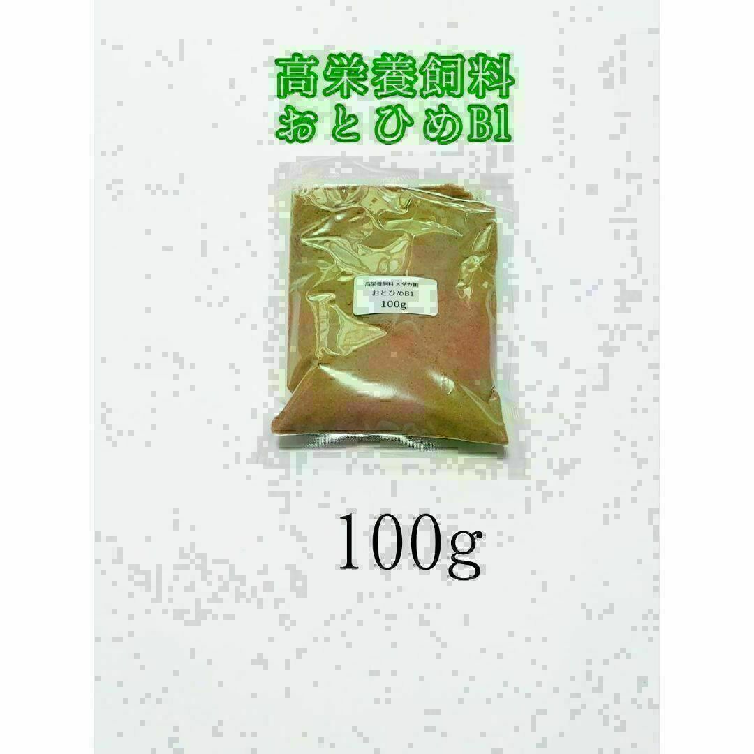 高栄養飼料 メダカ餌 おとひめB1 100g アクアリウム 熱帯魚 グッピー その他のペット用品(アクアリウム)の商品写真