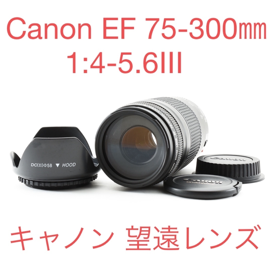 望遠レンズ☆イベント☆スポーツ☆Canon EF75-300㎜(美品 望遠 望遠レンズ☆イベント☆スポーツ☆Canon EF75-300㎜(美品 望遠