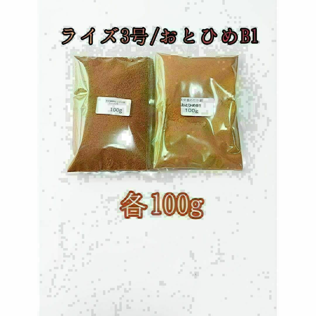 観賞魚餌 おとひめB1 ライズ3号 各100g 使い比べ 熱帯魚 グッピー その他のペット用品(アクアリウム)の商品写真