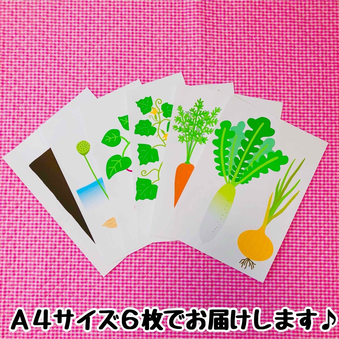 パネルシアター　食育　野菜　保育知育教材　幼稚園　療育　誕生会　発達  キッズ/ベビー/マタニティのおもちゃ(知育玩具)の商品写真