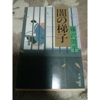 闇の梯子(文学/小説)