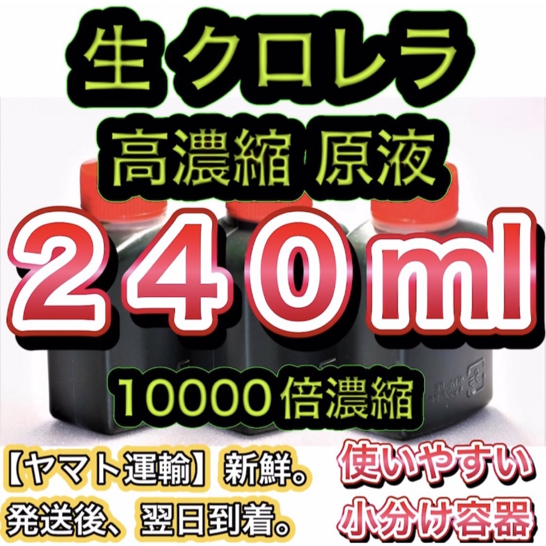 ★高濃縮】生クロレラ原液240 メダカの飼育 psb 金魚 熱帯魚 稚魚の水 その他のペット用品(アクアリウム)の商品写真