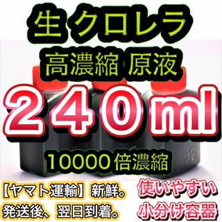 ★高濃縮】生クロレラ原液240 メダカの飼育 psb 金魚 熱帯魚 稚魚の水(アクアリウム)