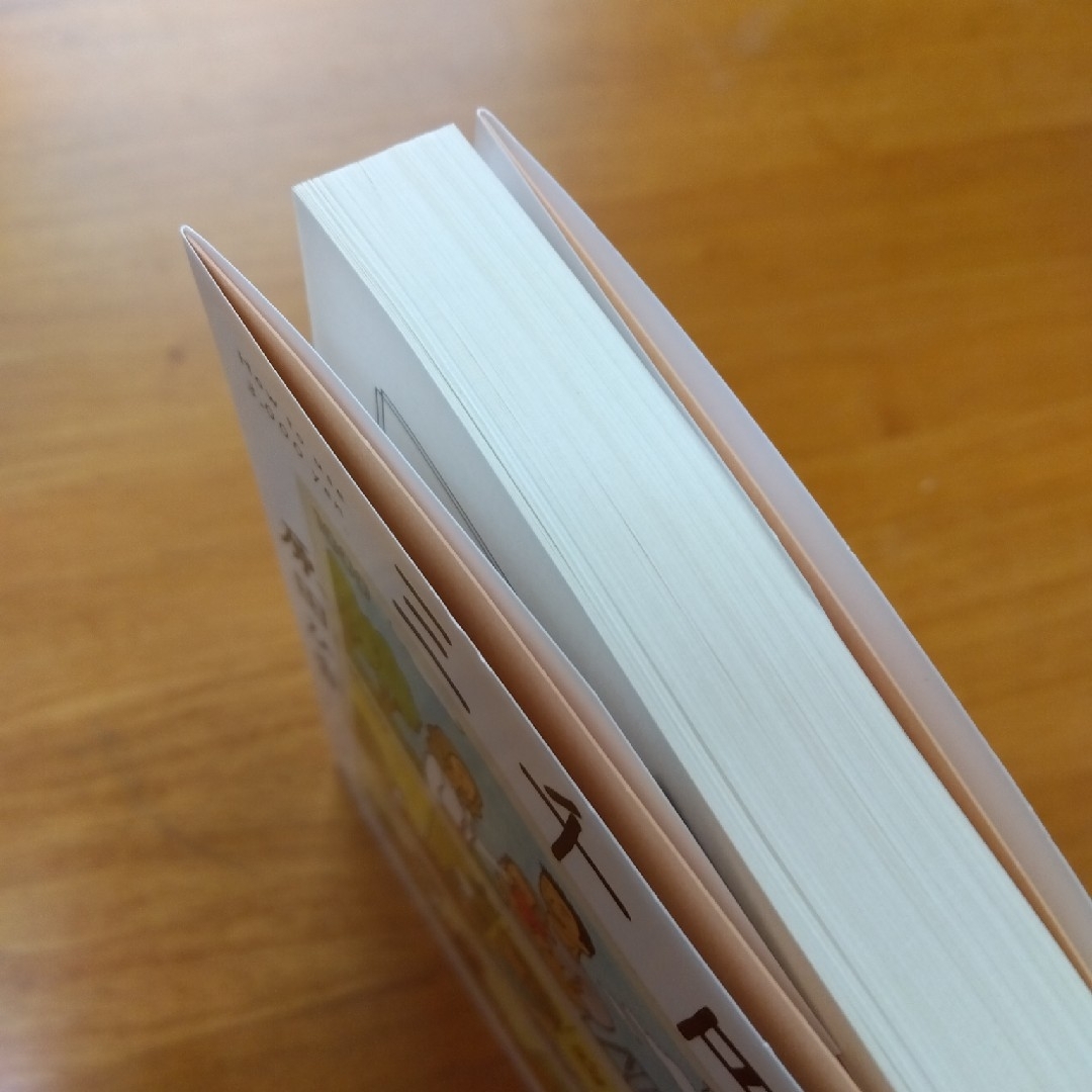 ＊三千円の使いかた エンタメ/ホビーの本(その他)の商品写真