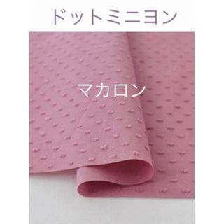 マカロン☆ドットミニヨン check&stripe c&s(生地/糸)