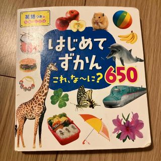 はじめて図鑑(絵本/児童書)