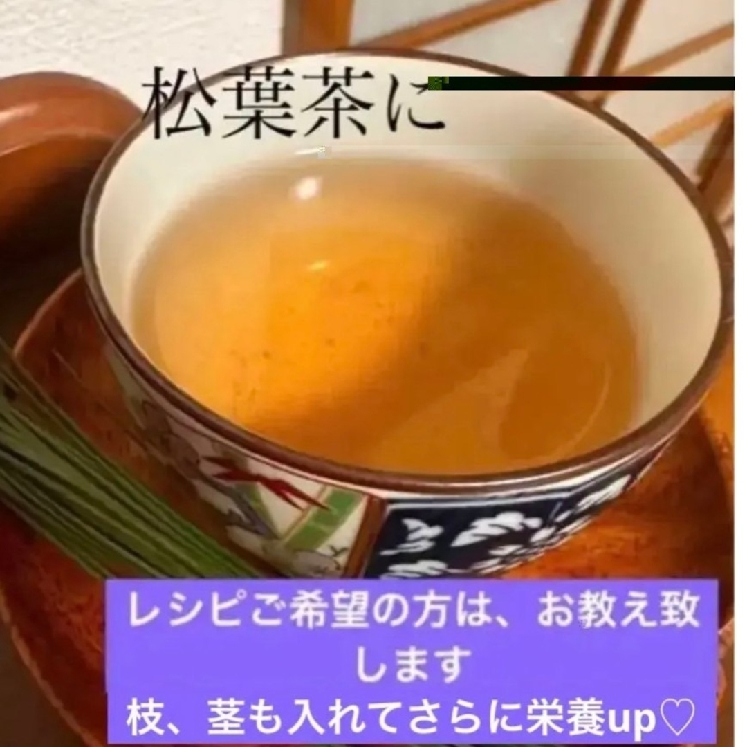 松葉 赤松 松の葉 松葉ジュース松葉茶などに 新鮮 500㌘ 食品/飲料/酒の食品(野菜)の商品写真