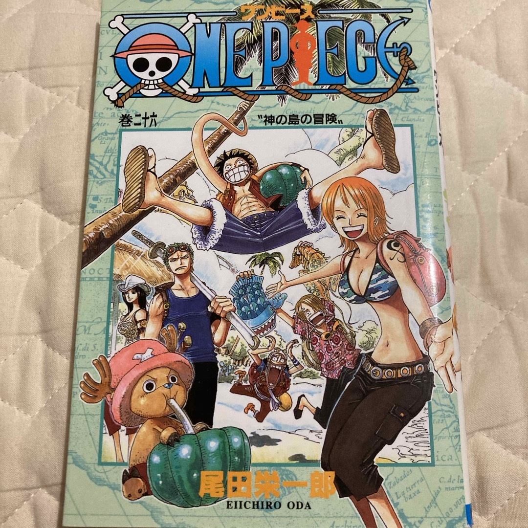 ＯＮＥ　ＰＩＥＣＥ エンタメ/ホビーの漫画(その他)の商品写真