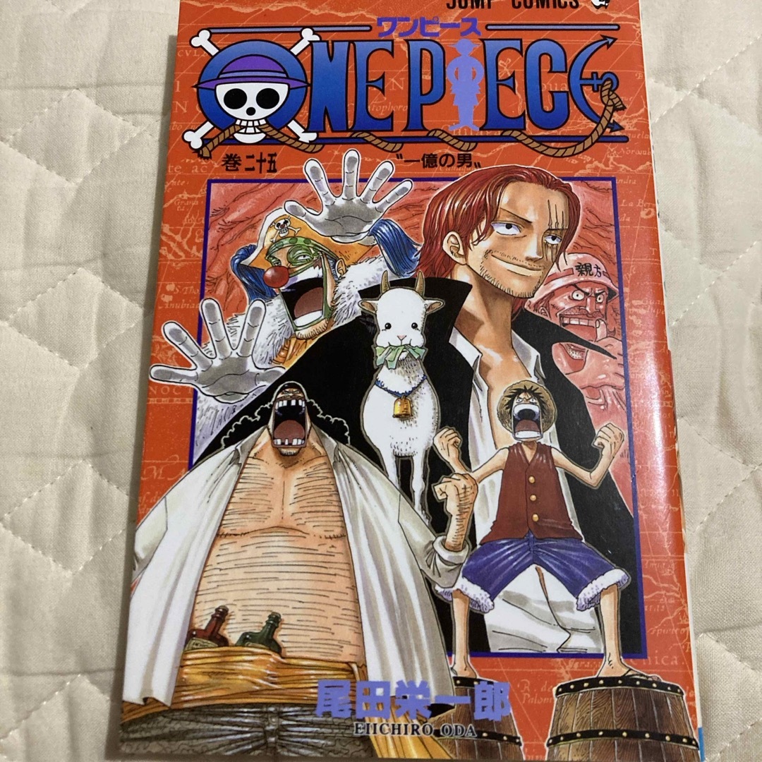 ＯＮＥ　ＰＩＥＣＥ エンタメ/ホビーの漫画(その他)の商品写真