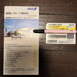 エーエヌエー(ゼンニッポンクウユ)(ANA(全日本空輸))のANA株主優待券 1枚 期限11月30日(その他)