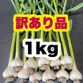 訳あり品【ジャンボ 葉ニンニク】1kg 産地直送 野菜 農家直送 Tyj(野菜)