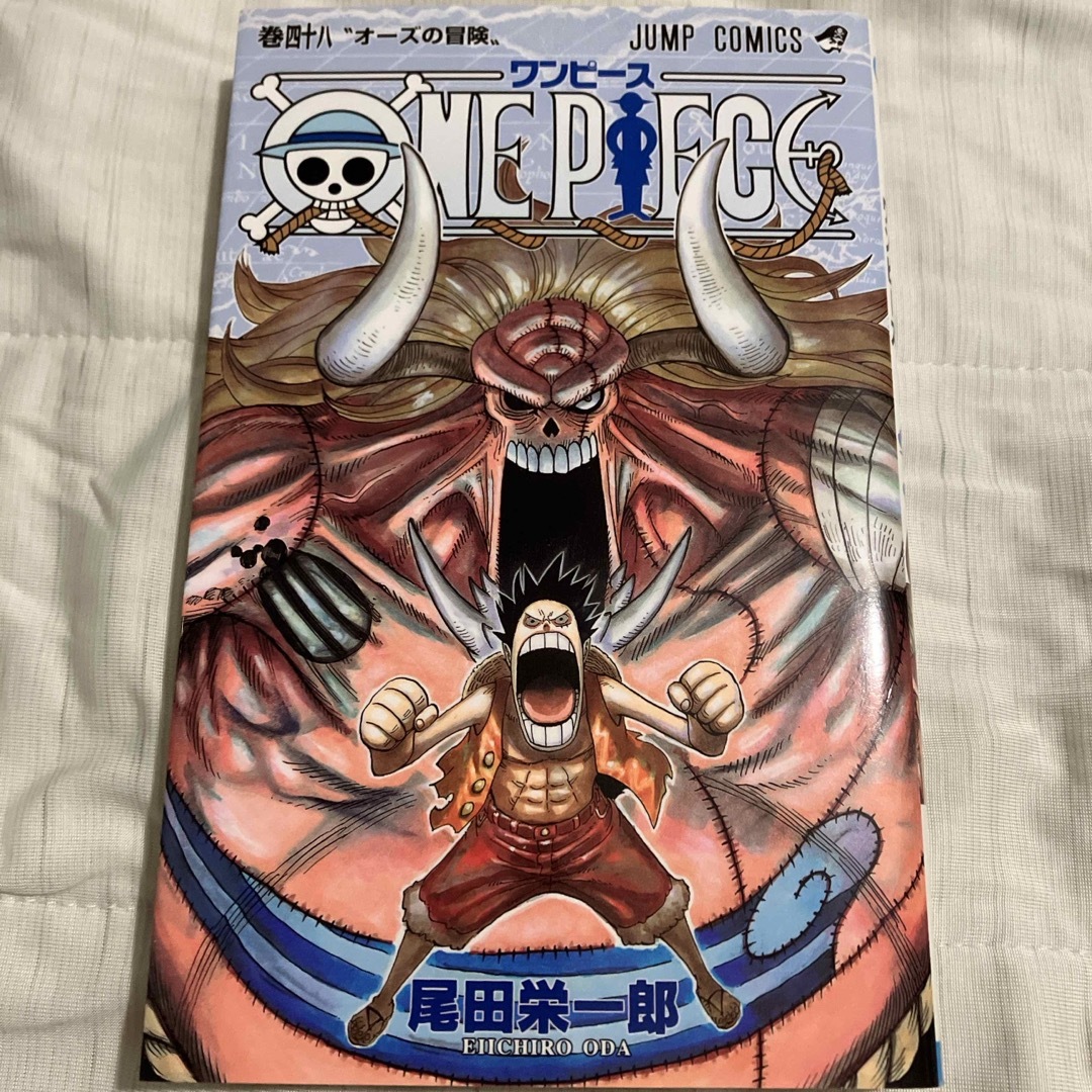 ＯＮＥ　ＰＩＥＣＥ エンタメ/ホビーの漫画(その他)の商品写真