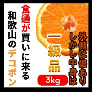 人気！デコポン(不知火)訳あり 減農薬 濃くて甘くて安心  有田 和歌山 3kg(フルーツ)