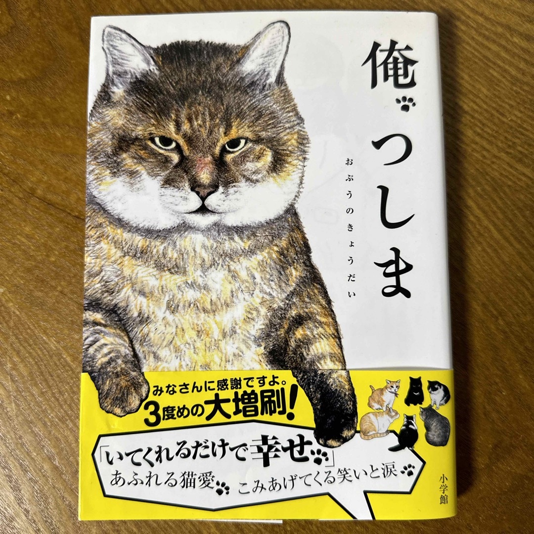 俺、つしま エンタメ/ホビーの漫画(その他)の商品写真