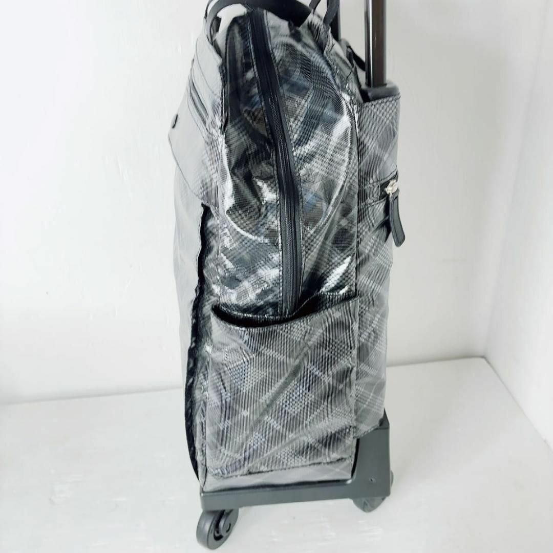 SWANY(スワニー)のスワニー　タルタン　キャリーバッグ　ショッピングカード　swany レディースのバッグ(スーツケース/キャリーバッグ)の商品写真