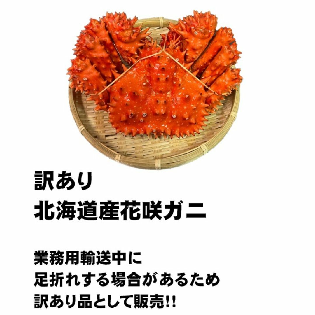 【訳あり】花咲がに　2尾（約400−500ｇサイズ）　ボイル　北海道産　花咲ガニ 食品/飲料/酒の食品(魚介)の商品写真