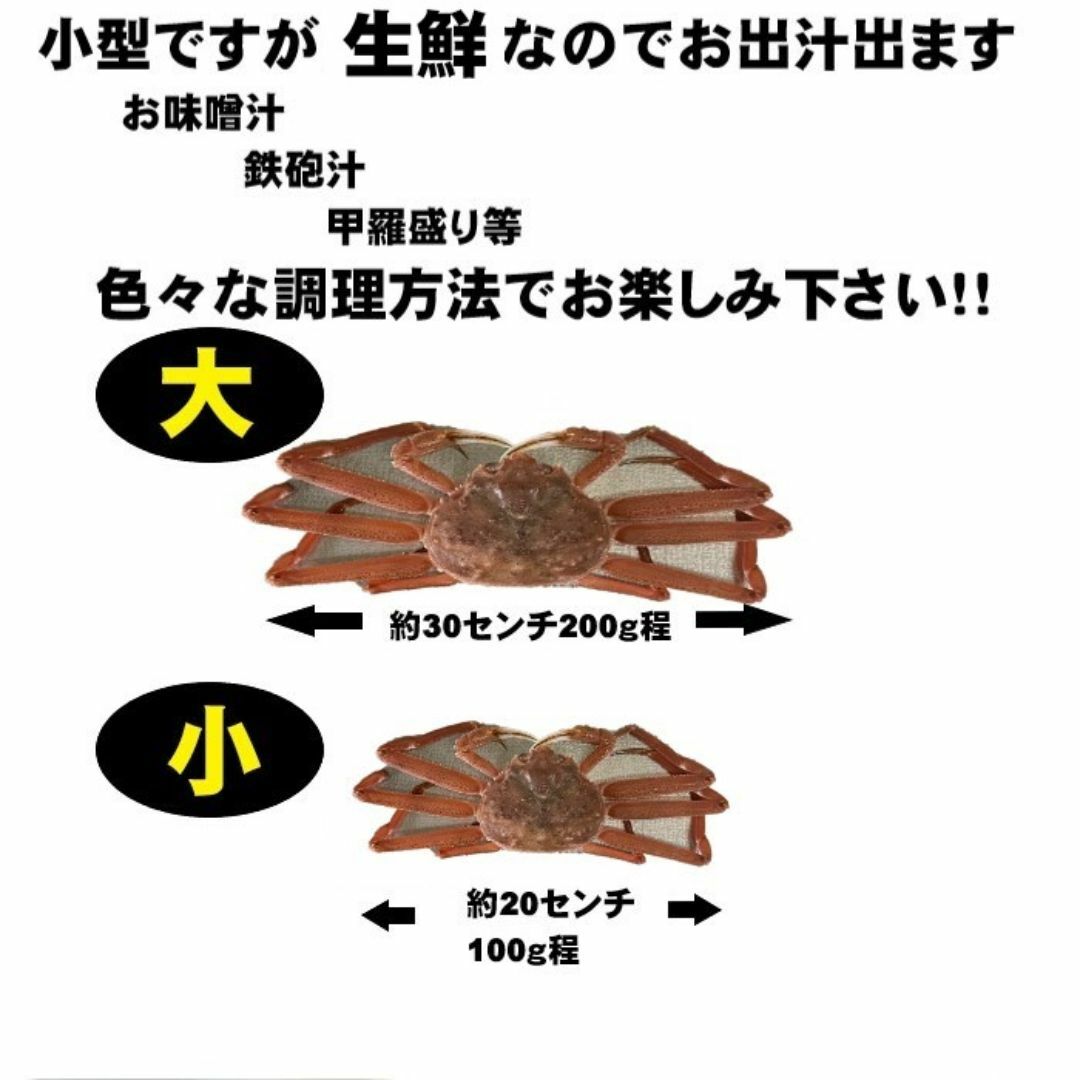 【北海道産】生オオズワイガニ　小型　2ｋｇ　足折れ・不足・甲羅割れ 食品/飲料/酒の食品(魚介)の商品写真