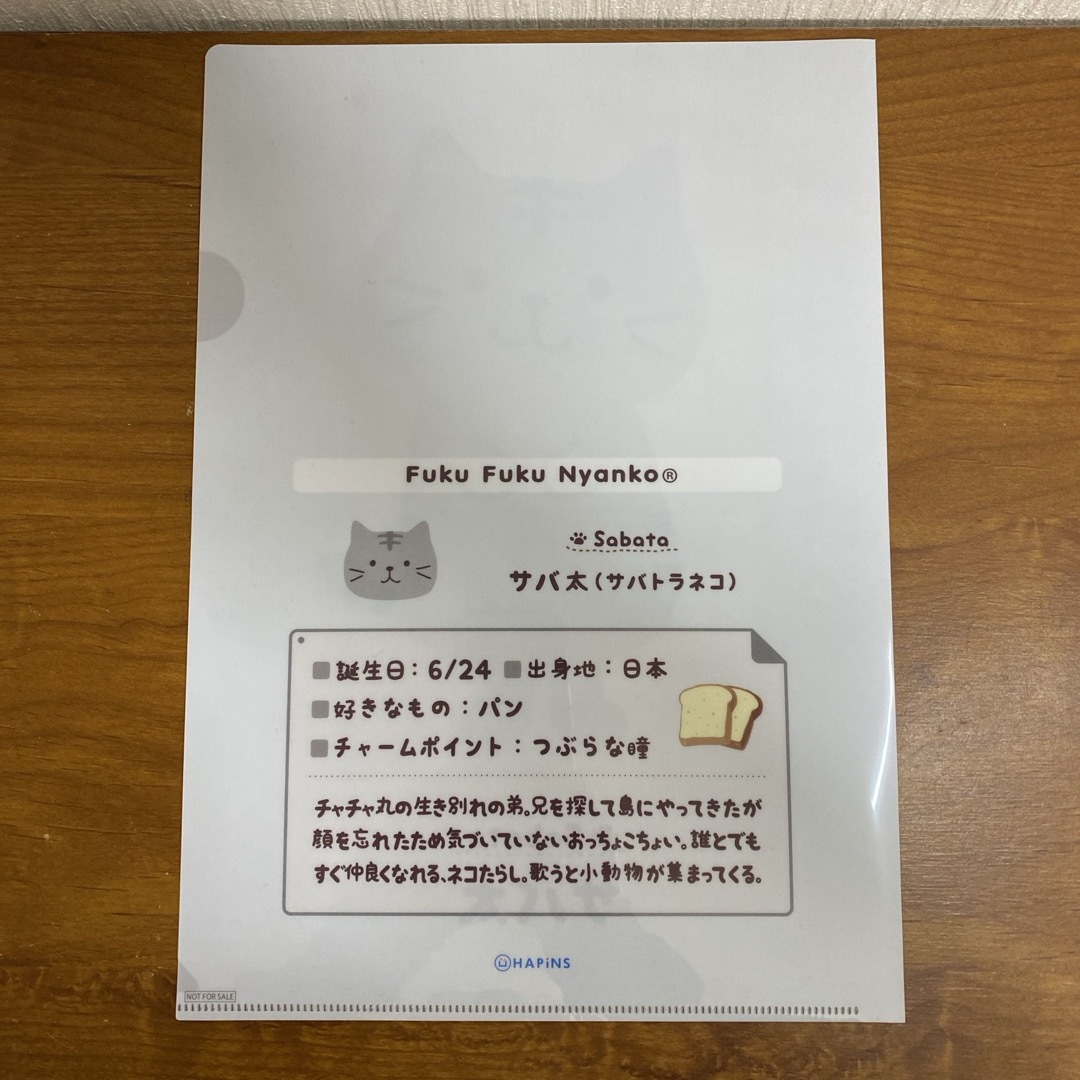 猫　クリアファイル エンタメ/ホビーのアニメグッズ(クリアファイル)の商品写真