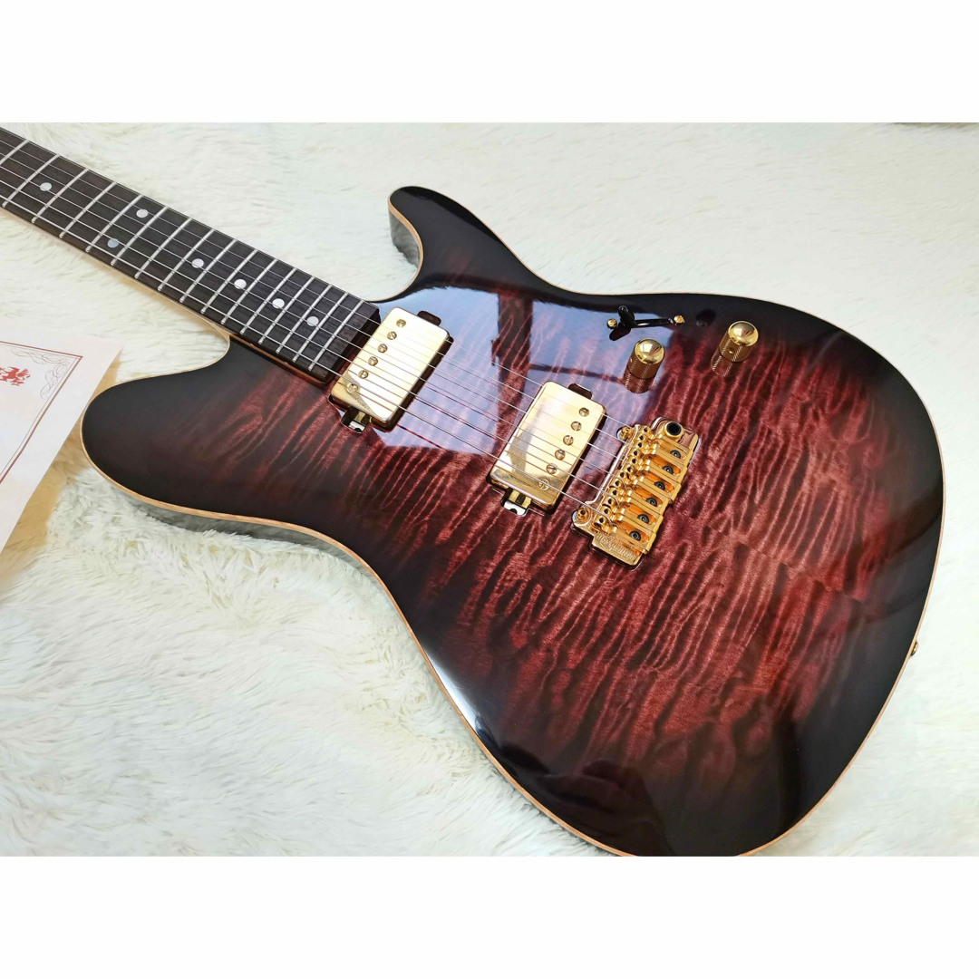 Sugi DS496IR EM 楽器のギター(エレキギター)の商品写真