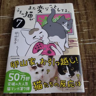 うちの猫がまた変なことしてる。7(その他)