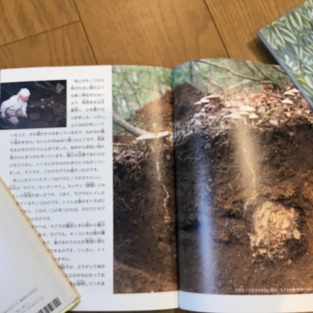 たくさんのふしぎ　小動物関連3冊 エンタメ/ホビーの本(絵本/児童書)の商品写真