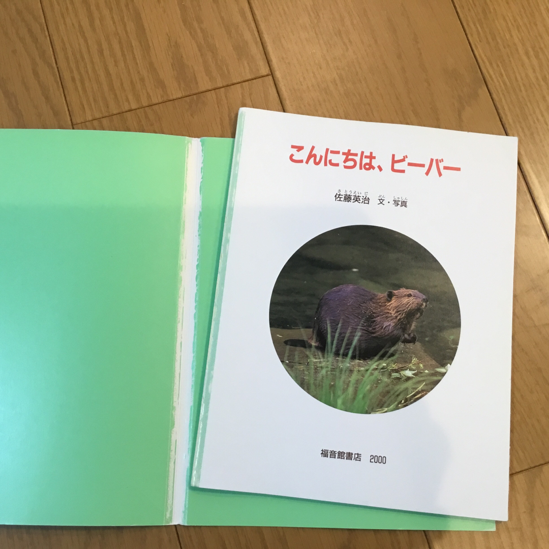 たくさんのふしぎ　小動物関連3冊 エンタメ/ホビーの本(絵本/児童書)の商品写真