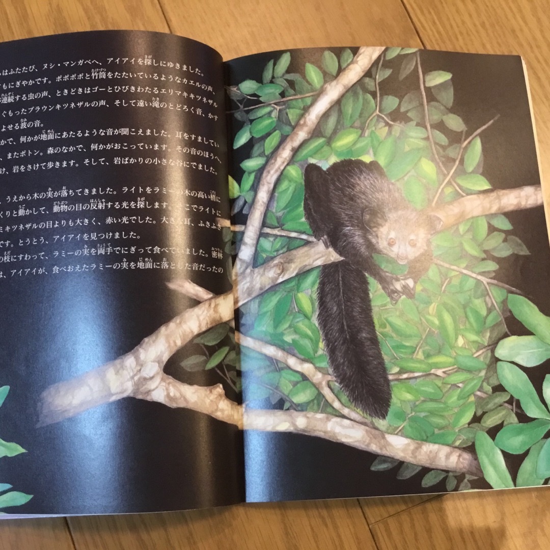 たくさんのふしぎ　小動物関連3冊 エンタメ/ホビーの本(絵本/児童書)の商品写真
