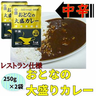 おとなの大盛カレー レストラン仕様 中辛 250g×2袋 レトルトカレー 非常食(防災関連グッズ)