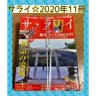 ショウガクカン(小学館)のサライ雑誌 サライ三都物語 サライ極楽鉄道 雪丹への旅 サライまとめ売り 11冊(その他)