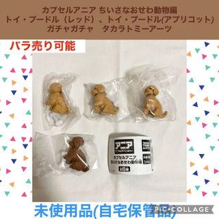 タカラトミーアーツ(T-ARTS)のカプセルアニア ちいさなおせわ動物編　トイプードル　ガチャガチャ　フィギュア(キャラクターグッズ)