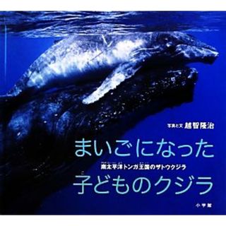 まいごになった子どものクジラ 南太平洋トンガ王国のザトウクジラ 小学館の図鑑ＮＥＯの科学絵本／越智隆治【写真・文】(絵本/児童書)