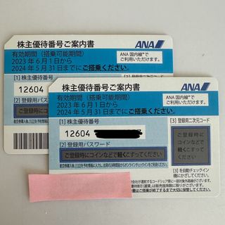 エーエヌエー(ゼンニッポンクウユ)(ANA(全日本空輸))のANA株主優待券5末期限　2枚セット(その他)