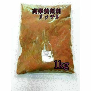 高栄養飼料 メダカ餌 リッチB 1kg アクアリウム 熱帯魚 グッピー(アクアリウム)